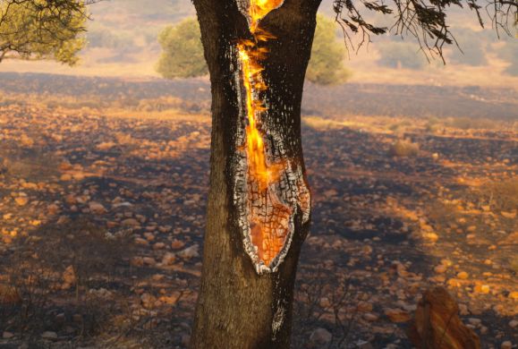Τι σημαίνει ο όρος ανάθεμα ετυμολογικά και πνευματικά