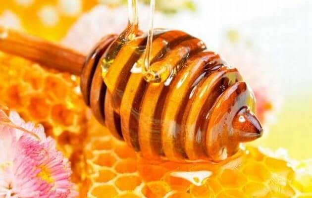 honey1-630x400